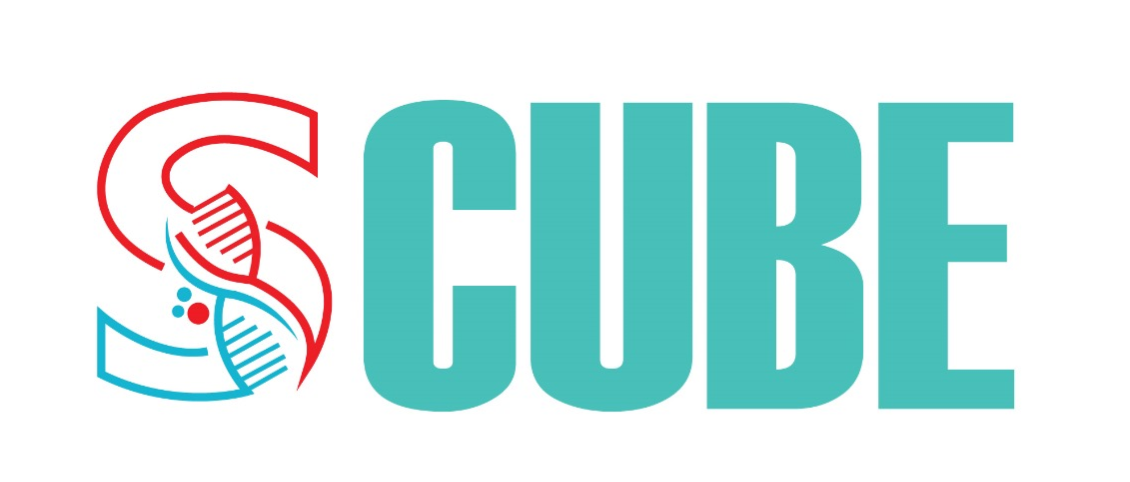 Scube Logo