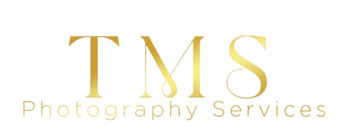 The Moment Savers Logo